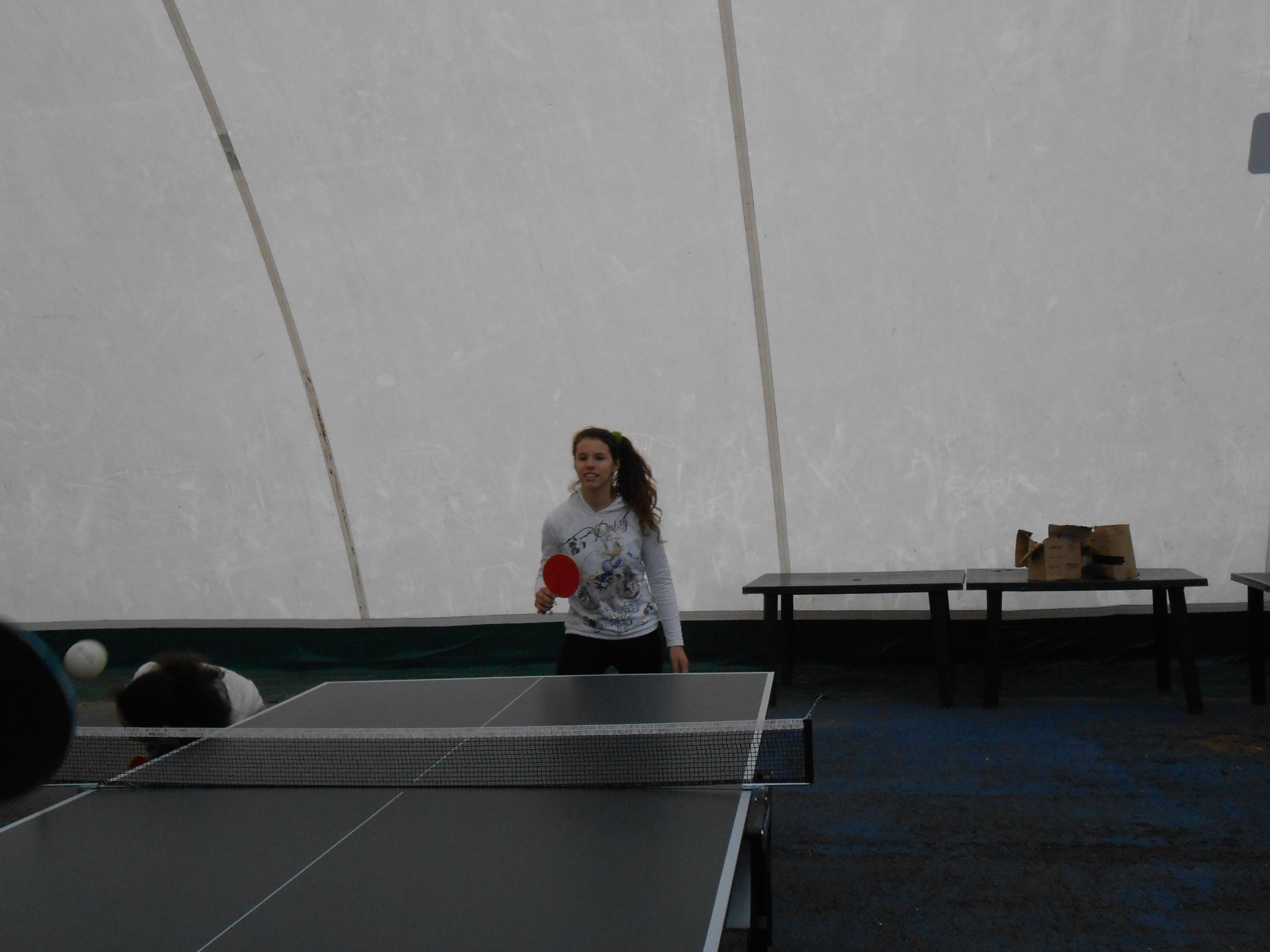 pingpong